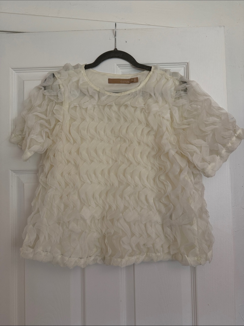 Cultivar Ivory Ruffle Organza Short Sleeve Top